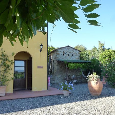 Serra Destri Apartment Riparbella Exterior foto